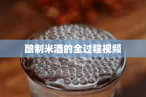 酿制米酒的全过程视频