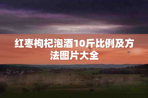 红枣枸杞泡酒10斤比例及方法图片大全