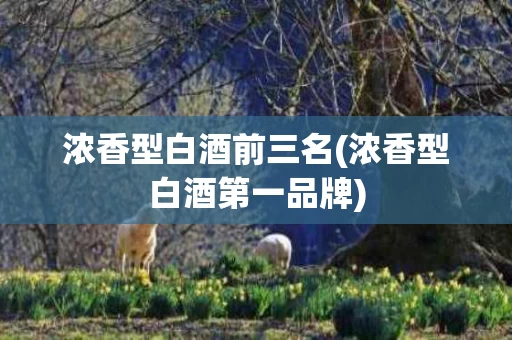 浓香型白酒前三名(浓香型白酒第一品牌)