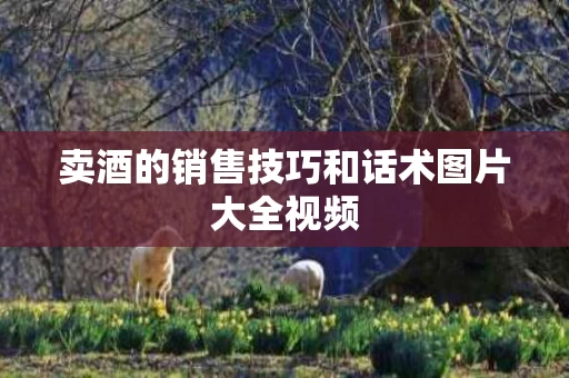 卖酒的销售技巧和话术图片大全视频