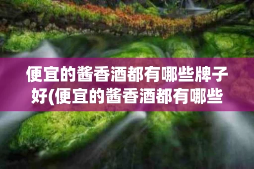 便宜的酱香酒都有哪些牌子好(便宜的酱香酒都有哪些牌子好点)