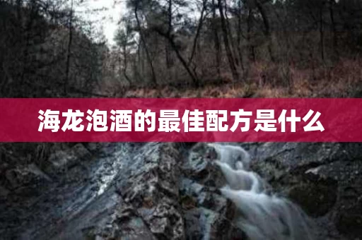 海龙泡酒的最佳配方是什么