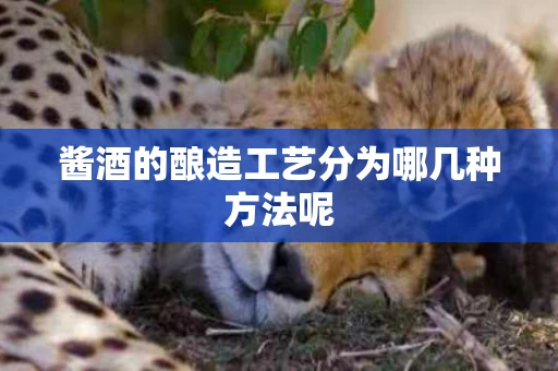 酱酒的酿造工艺分为哪几种方法呢