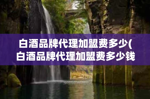 白酒品牌代理加盟费多少(白酒品牌代理加盟费多少钱)