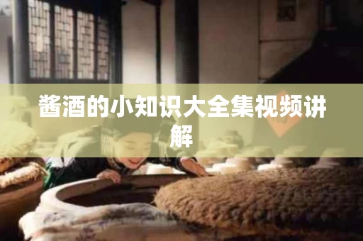 酱酒的小知识大全集视频讲解