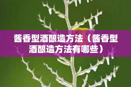 酱香型酒酿造方法（酱香型酒酿造方法有哪些）