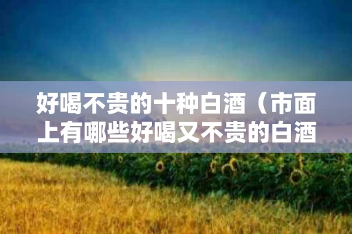 好喝不贵的十种白酒（市面上有哪些好喝又不贵的白酒?）