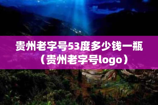 贵州老字号53度多少钱一瓶（贵州老字号logo）