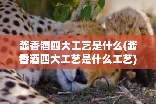 酱香酒四大工艺是什么(酱香酒四大工艺是什么工艺)