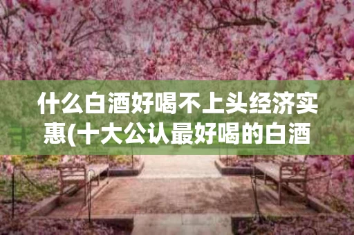 什么白酒好喝不上头经济实惠(十大公认最好喝的白酒)