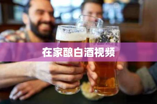 在家酿白酒视频