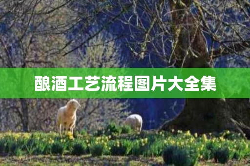 酿酒工艺流程图片大全集