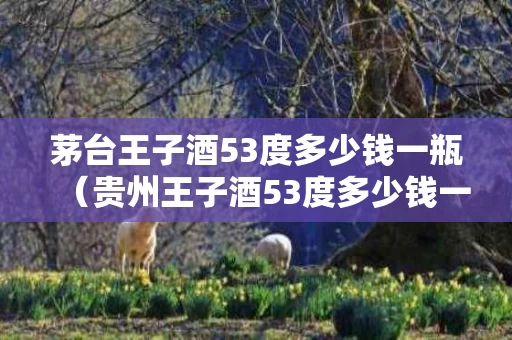 茅台王子酒53度多少钱一瓶（贵州王子酒53度多少钱一瓶）