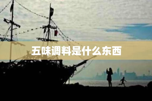 五味调料是什么东西