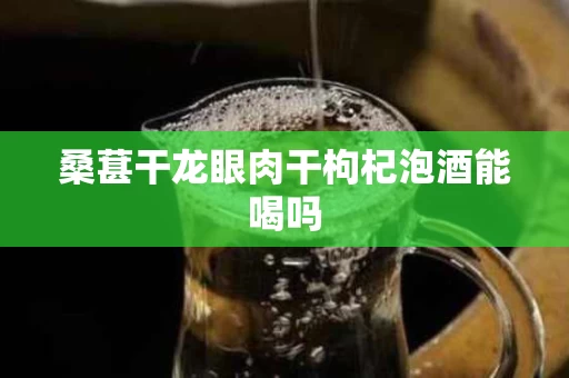 桑葚干龙眼肉干枸杞泡酒能喝吗