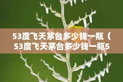 53度飞天茅台多少钱一瓶（53度飞天茅台多少钱一瓶500毫升）