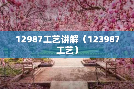 12987工艺讲解（123987工艺）
