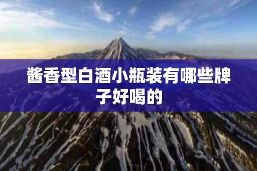 酱香型白酒小瓶装有哪些牌子好喝的