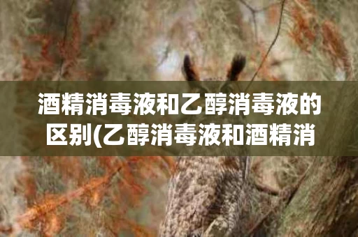 酒精消毒液和乙醇消毒液的区别(乙醇消毒液和酒精消毒液效果一样吗?)