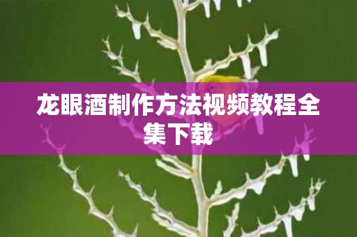 龙眼酒制作方法视频教程全集下载