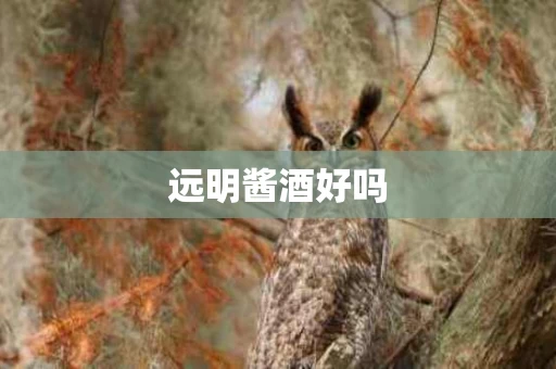 远明酱酒好吗