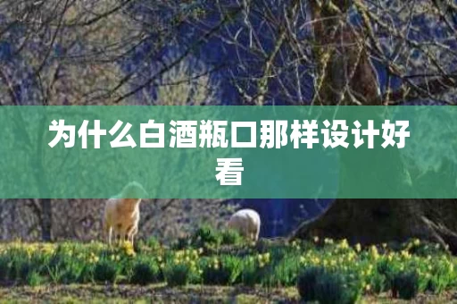 为什么白酒瓶口那样设计好看