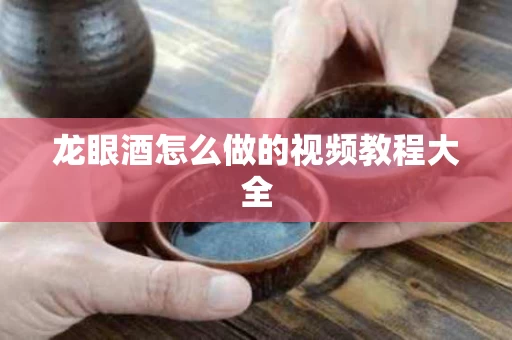 龙眼酒怎么做的视频教程大全