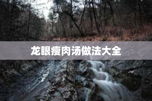 龙眼瘦肉汤做法大全