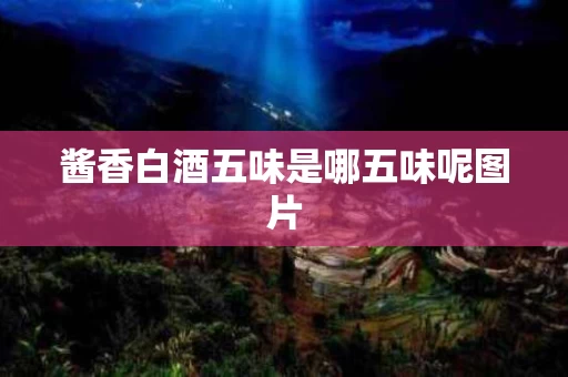 酱香白酒五味是哪五味呢图片