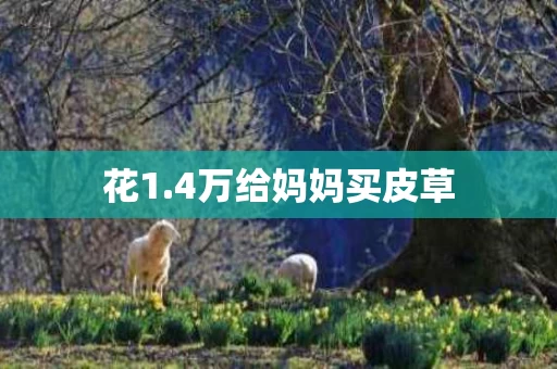 花1.4万给妈妈买皮草