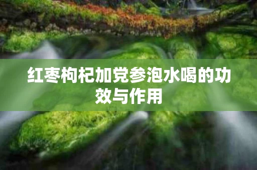 红枣枸杞加党参泡水喝的功效与作用