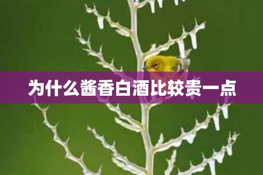 为什么酱香白酒比较贵一点