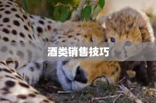 酒类销售技巧