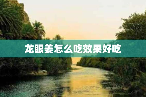 龙眼姜怎么吃效果好吃