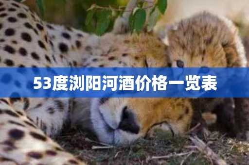 53度浏阳河酒价格一览表