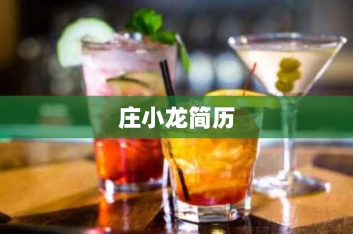 庄小龙简历