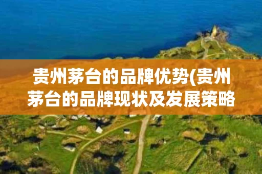贵州茅台的品牌优势(贵州茅台的品牌现状及发展策略)