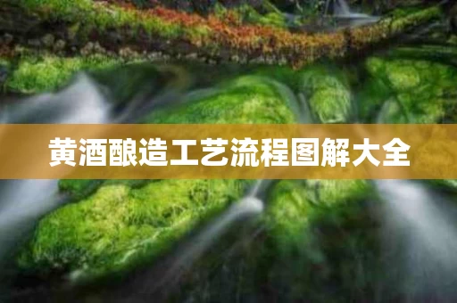 黄酒酿造工艺流程图解大全
