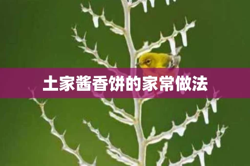 土家酱香饼的家常做法