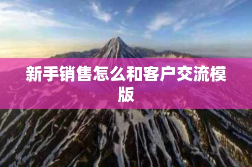 新手销售怎么和客户交流模版