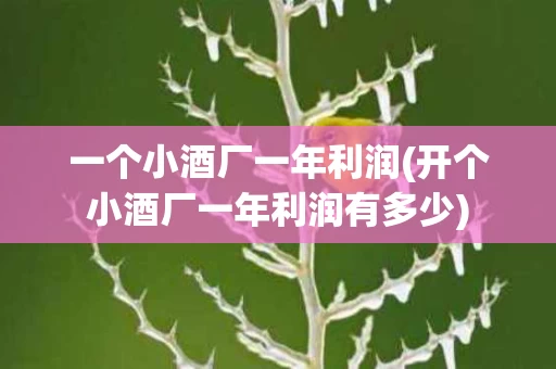 一个小酒厂一年利润(开个小酒厂一年利润有多少)