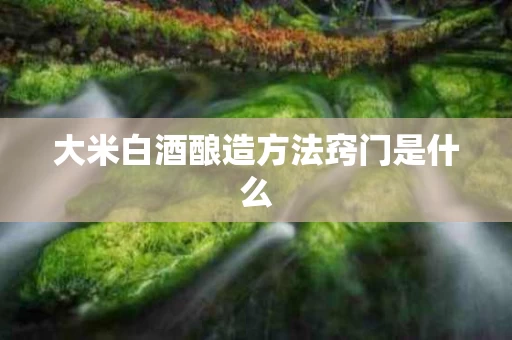 大米白酒酿造方法窍门是什么