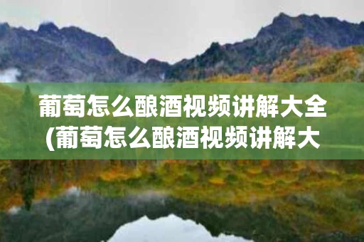 葡萄怎么酿酒视频讲解大全(葡萄怎么酿酒视频讲解大全图片)