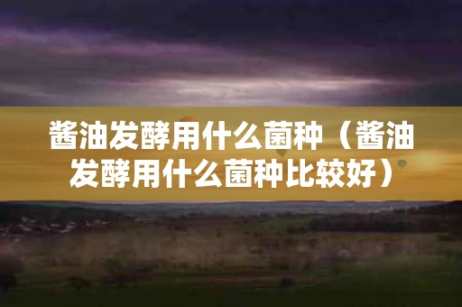 酱油发酵用什么菌种（酱油发酵用什么菌种比较好）