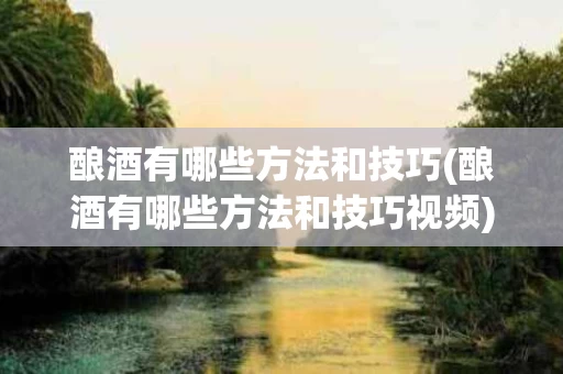 酿酒有哪些方法和技巧(酿酒有哪些方法和技巧视频)