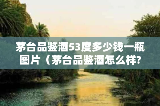 茅台品鉴酒53度多少钱一瓶图片（茅台品鉴酒怎么样?只有这两款是真酒）
