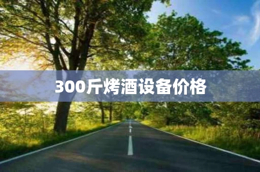 300斤烤酒设备价格