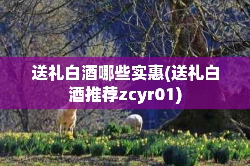 送礼白酒哪些实惠(送礼白酒推荐zcyr01)