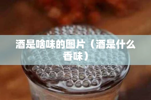 酒是啥味的图片（酒是什么香味）