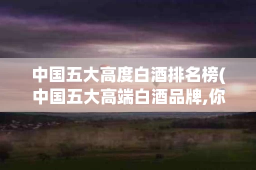 中国五大高度白酒排名榜(中国五大高端白酒品牌,你知道多少?) 中国五大高度白酒排名榜(中国五大高端白酒品牌,你知道多少?)